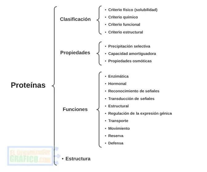 Cuadro Sinoptico De Proteinas