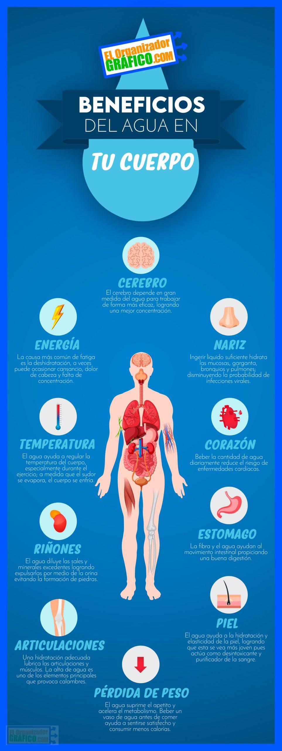 Infografia Del Agua Y Sus Beneficios
