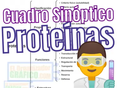 Cuadro Sinóptico de Proteínas