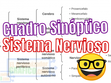 Cuadro Sinoptico Sistema Nervioso Ejemplos