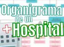 Organigrama de un Hospital