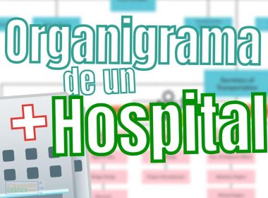Organigrama De Un Hospital Ejemplos