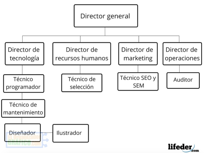 Organigrama De Una Empresa Ejemplos