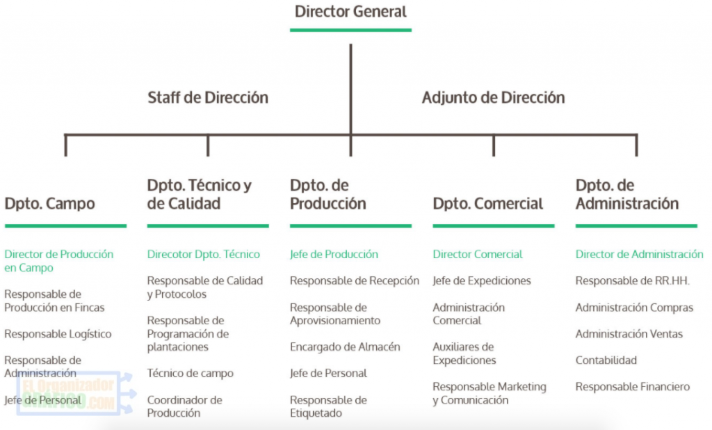 Organigrama De Una Empresa Grande