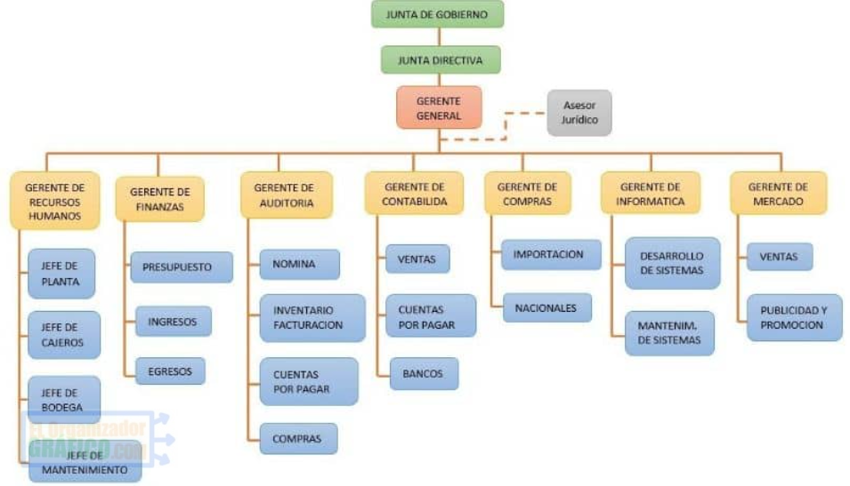 ᐈ Organigrama de una EMPRESA (Grande, Mediana, Pequeña y más)