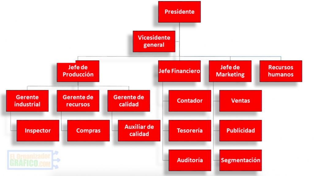 Organigrama General De Coca Cola