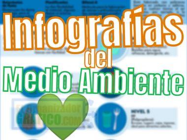 Infografias Del Medio Ambiente Ejemplos