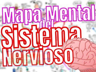 Mapa Mental de Sistema Nervioso