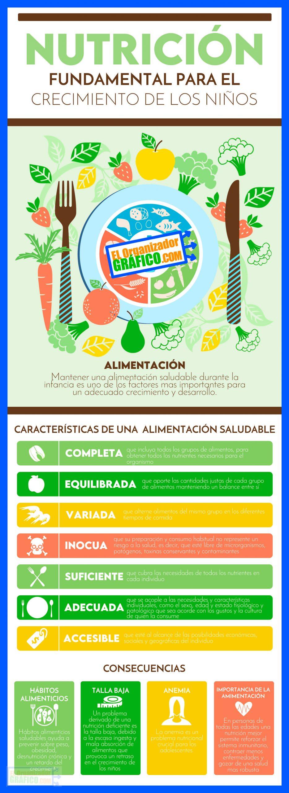 Infografia De Alimentacion Saludable Y Nutricion