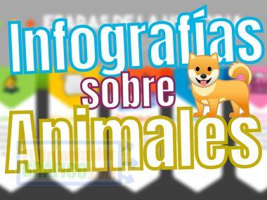 Infografías de Animales [Ejemplos]