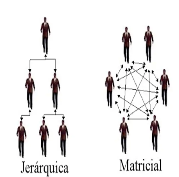 Diferencias De Un Organigrama Matricial