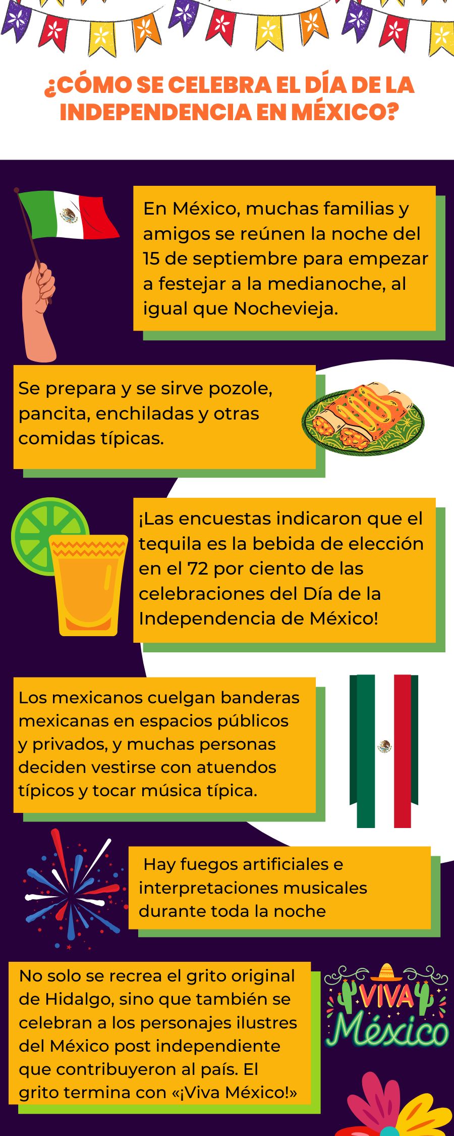 Estas Infografías Suelen Tener La Bandera De México O Los Colores En El Diseño