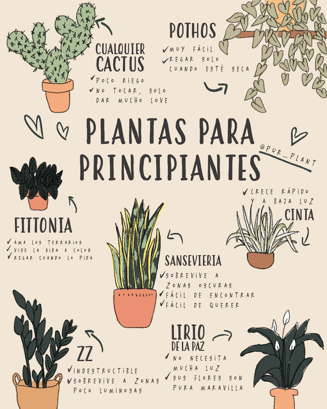 Este Es Un Ejemplo De Infografía Sobre Plantas