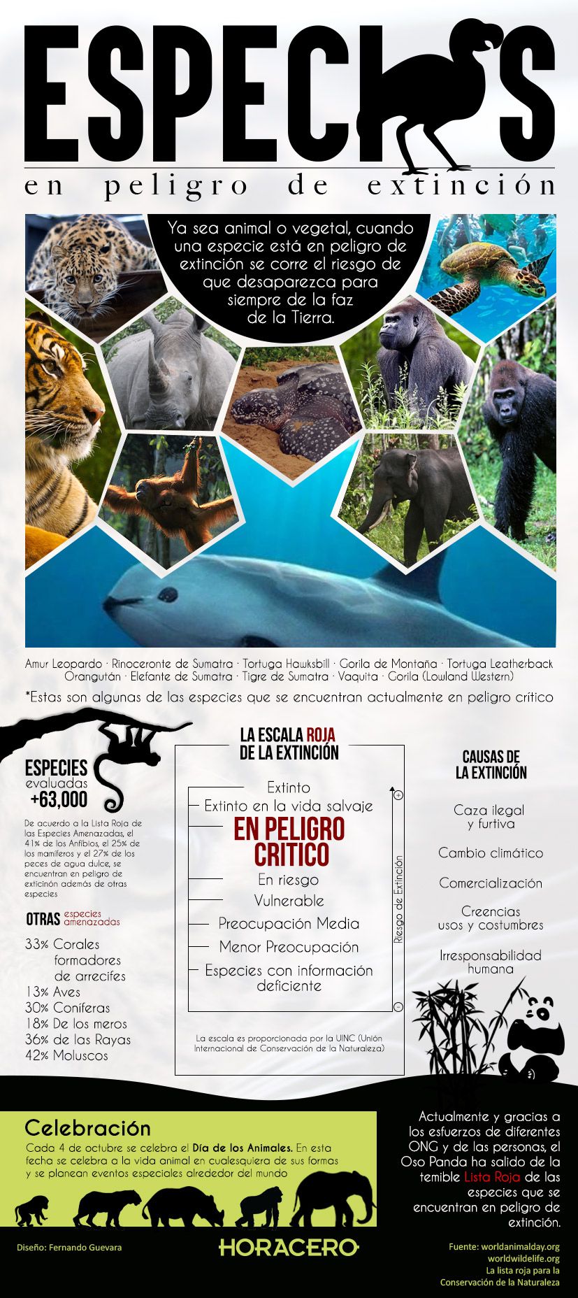 Infografía De Especies En Peligro De Extinción