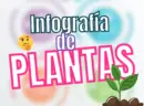 Infografías de Plantas