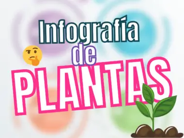 Infografía De Plantas