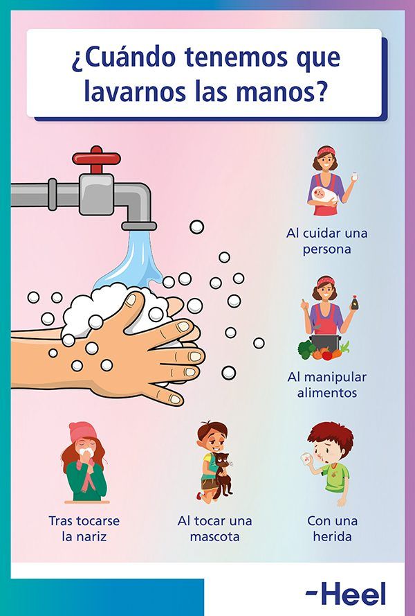 Infografía Sobre Como Tenemos Que Lavarnos Las Manos