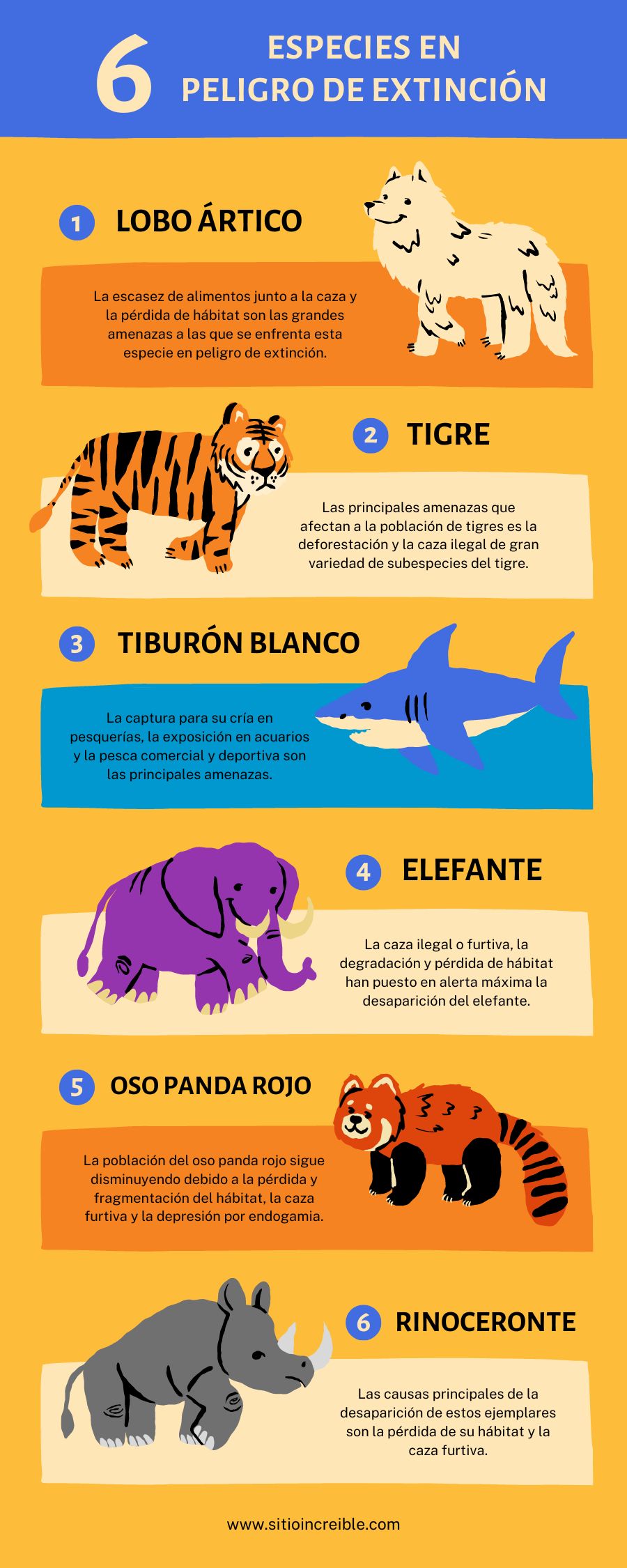 Infografía Sobre El Lobo Artico En Peligro De Extinción