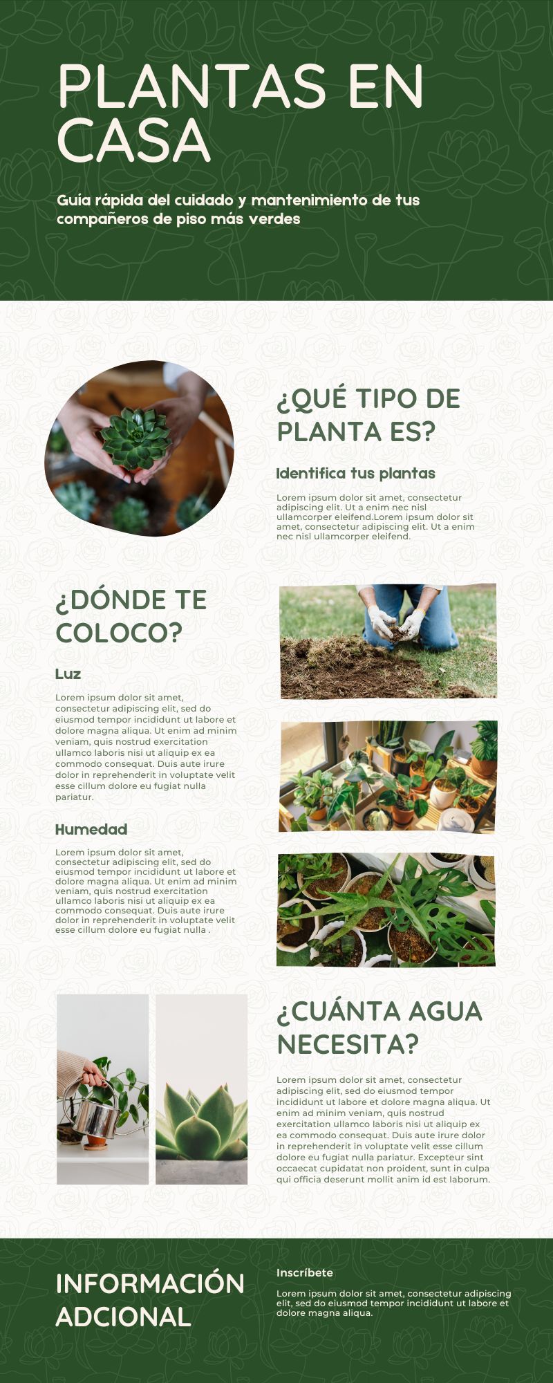 Infografía Sobre Las Plantas Dentro De Casa