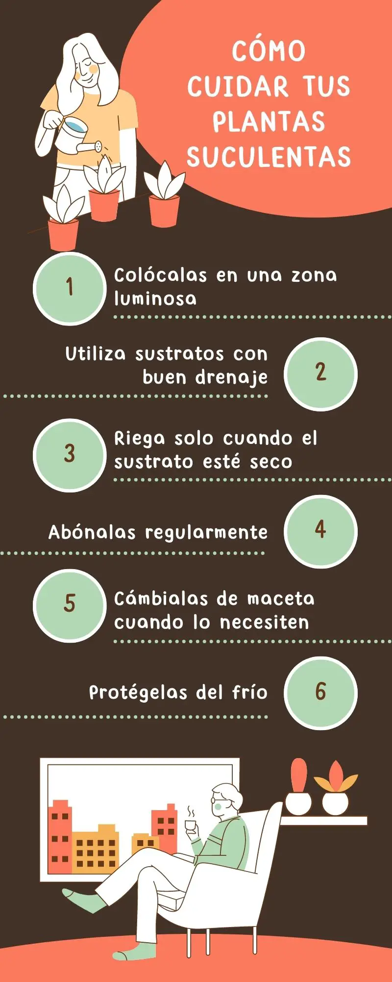 Infografía Sobre Las Tipos De Plantas Suculentas