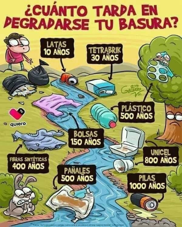 Infografía Sobre ¿cuanto Tarda En Degradarse La Basura?