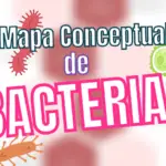 Mapa conceptual de las Bacterias
