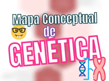 Mapas conceptuales de Genética