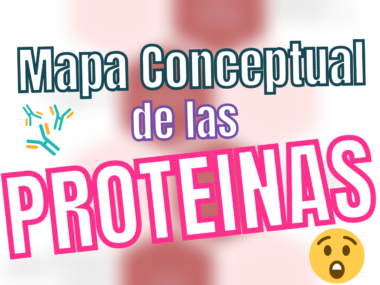 Mapa conceptual de Proteinas