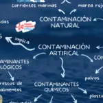 Mapas mentales de la Contaminación