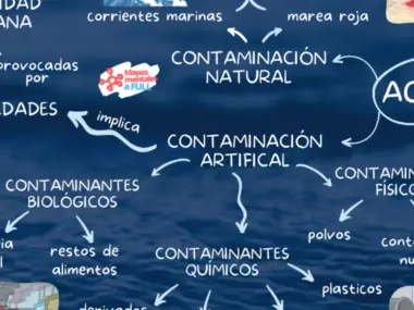 Mapas mentales de la Contaminación
