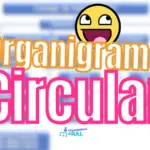 TIPO de Organigrama: Circular