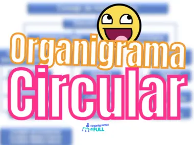 TIPO de Organigrama: Circular
