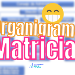 TIPO de Organigrama Matricial TIPO de Organigrama Matricial