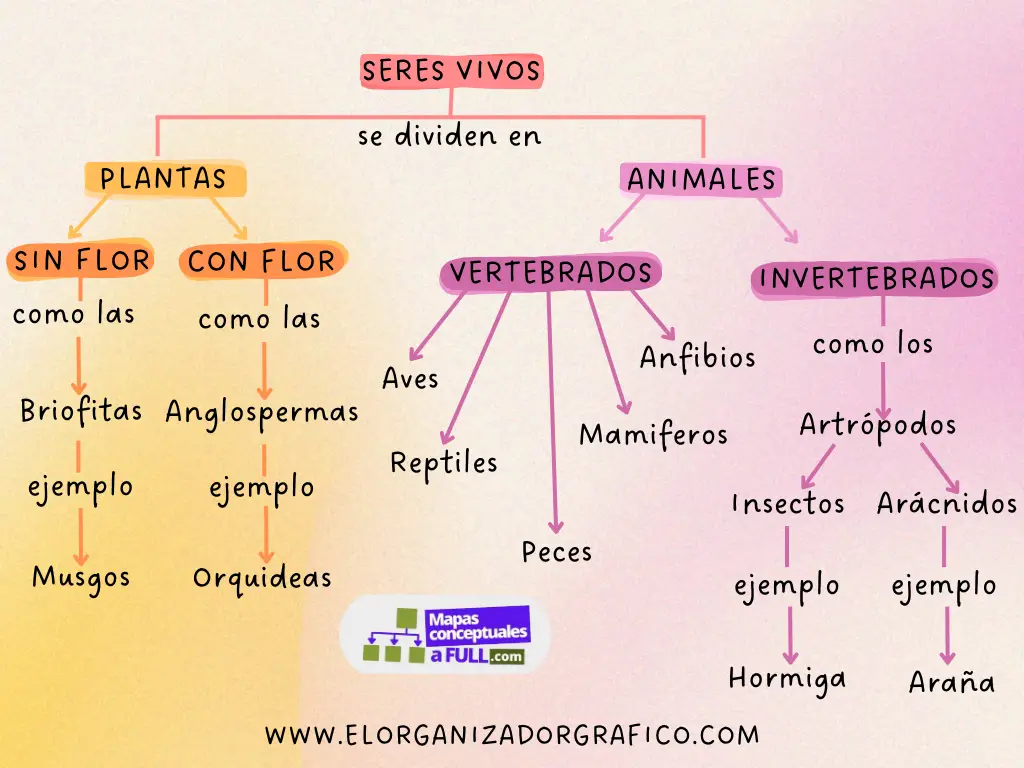 Ejemplo De Mapa Conceptual De Biologia (seres Vivos)