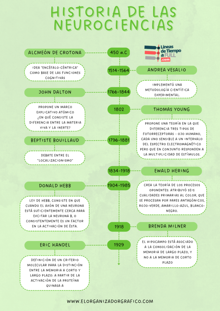 Descargar template gratuito de linea de tiempo historia de las neurociencias para microsoft word, power point y canva