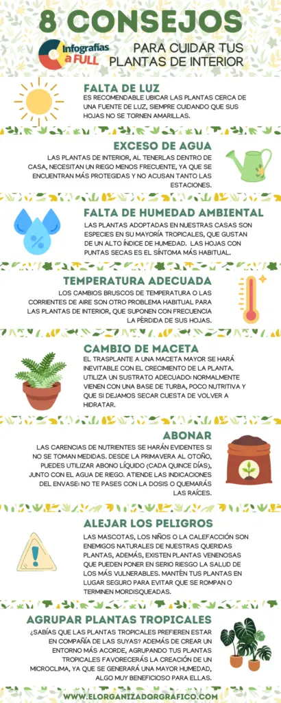 Infografia sobre plantas